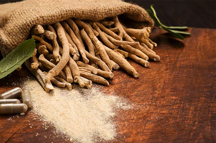 Herbal Penenang Alami untuk Mengurangi Stres