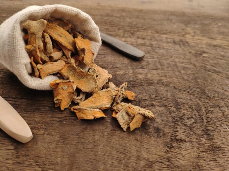 Khasiat Tanaman Herbal untuk Meningkatkan Imun Tubuh