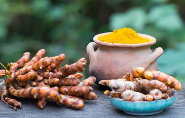 Tanaman Obat Kuno yang Kembali Populer di Tahun 2025