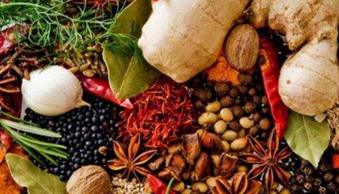 Sambiloto sebagai Herbal Pahit dengan Khasiat