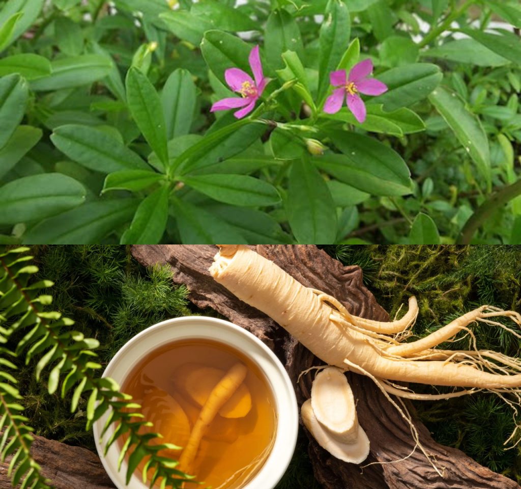 Ramuan Herbal untuk Meningkatkan Kecepatan Berpikir