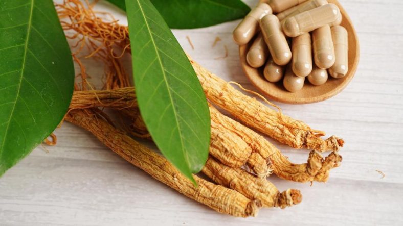 Herbal untuk Menjaga Kesehatan Saraf Otak 