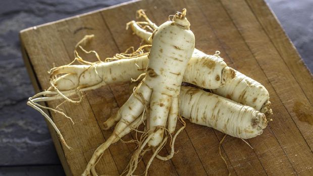 Herbal untuk Meningkatkan Produktivitas dan Kinerja Otak